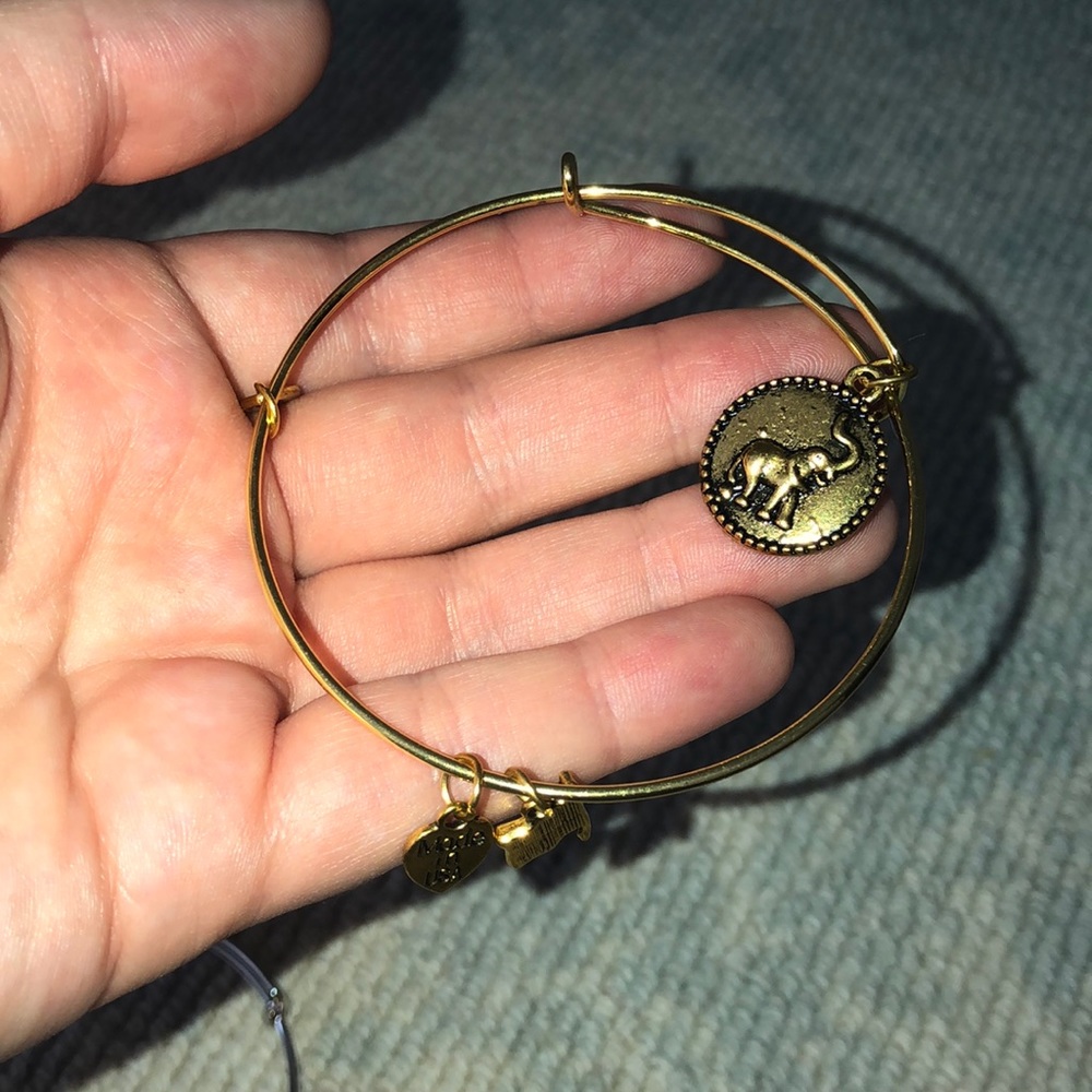Save the Elephants bracelet!!!